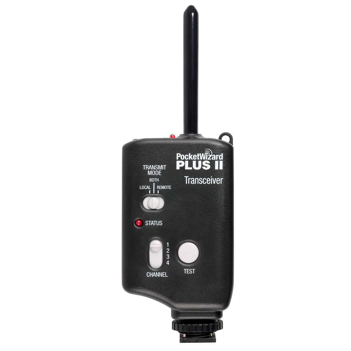 PlusII copy 2.png