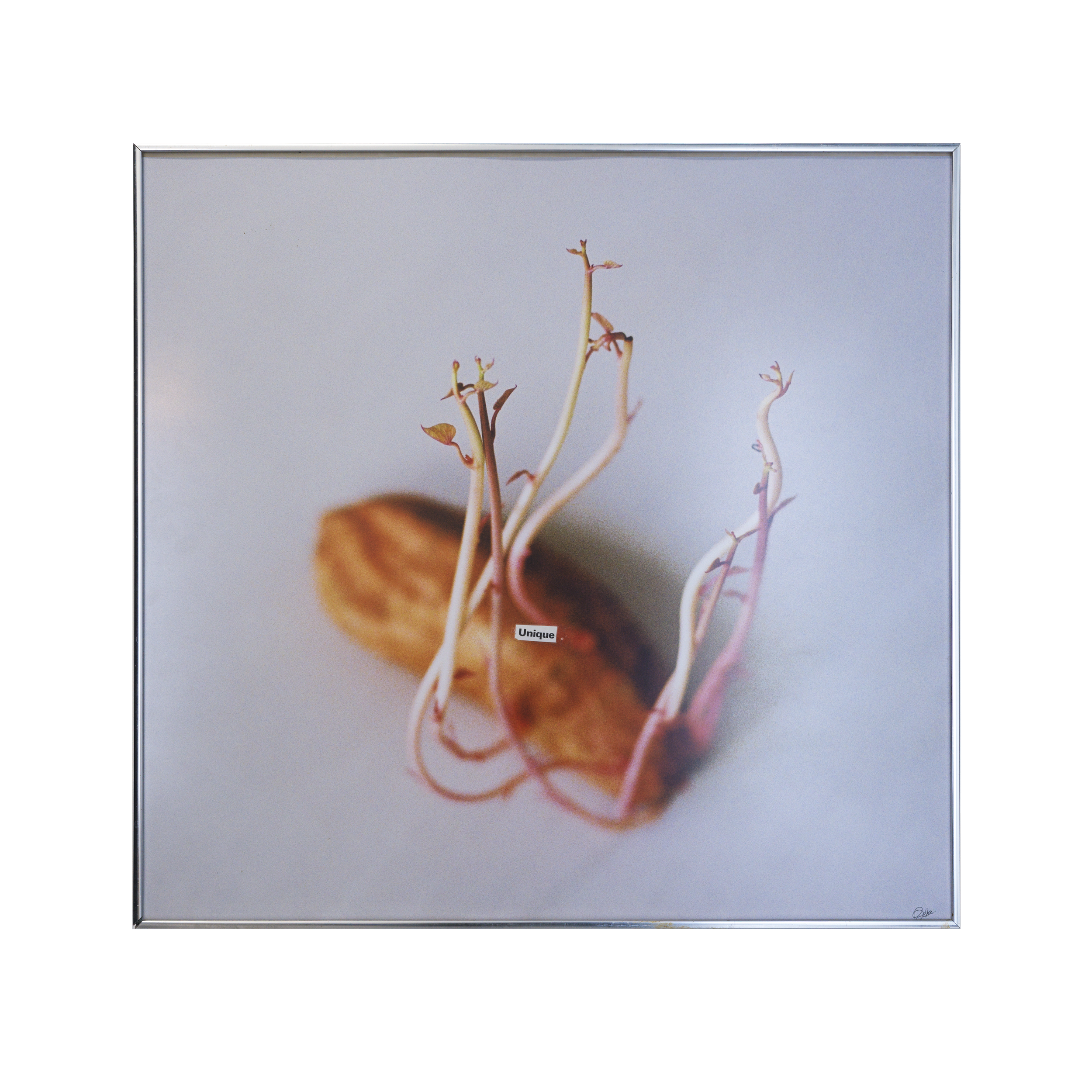 B00071443FR1763439607 copy.png