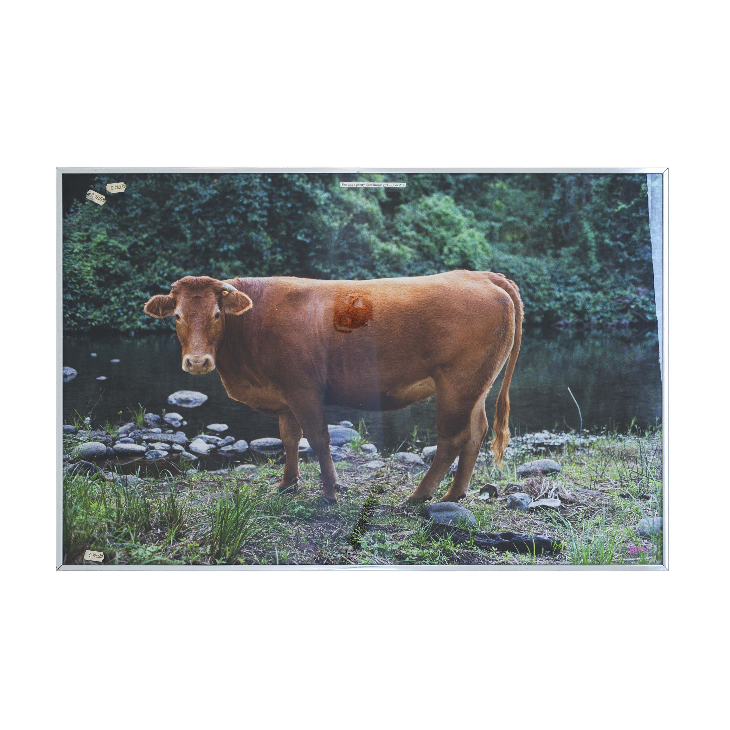 B00071453FR1763440053 copy.png