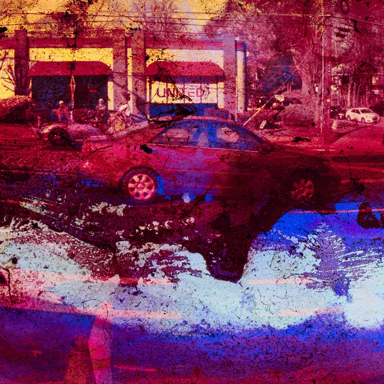 guts_0088.JPG