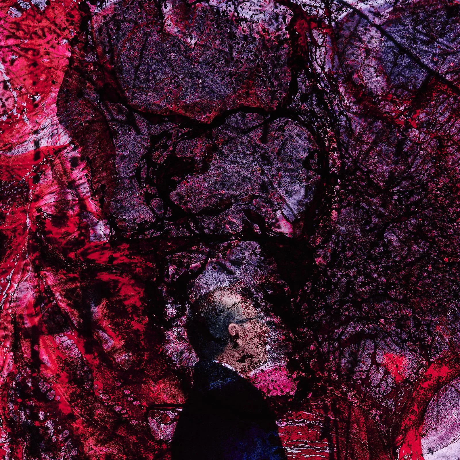 guts_0071.JPG