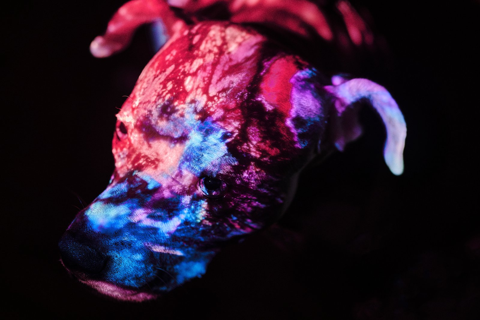 object_0085.JPG