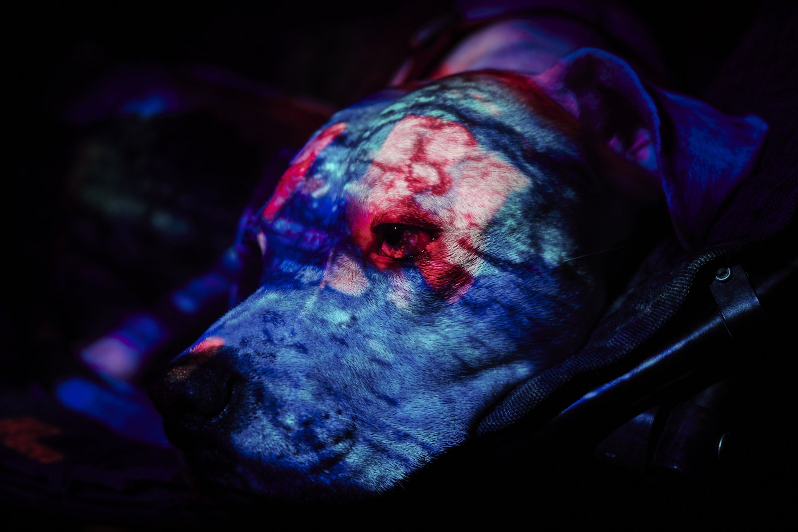 object_0024.JPG