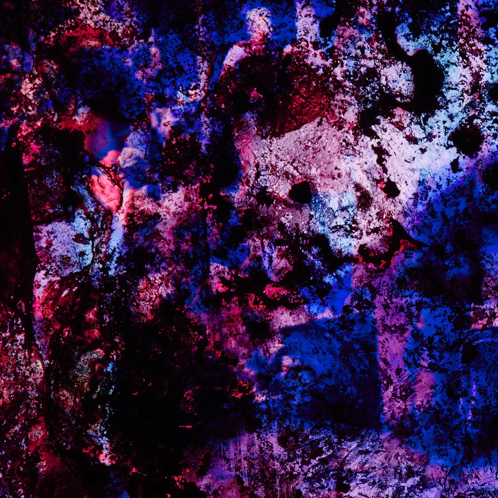 guts_0028.JPG