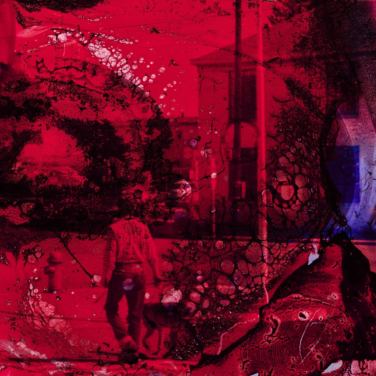 guts_0049.JPG