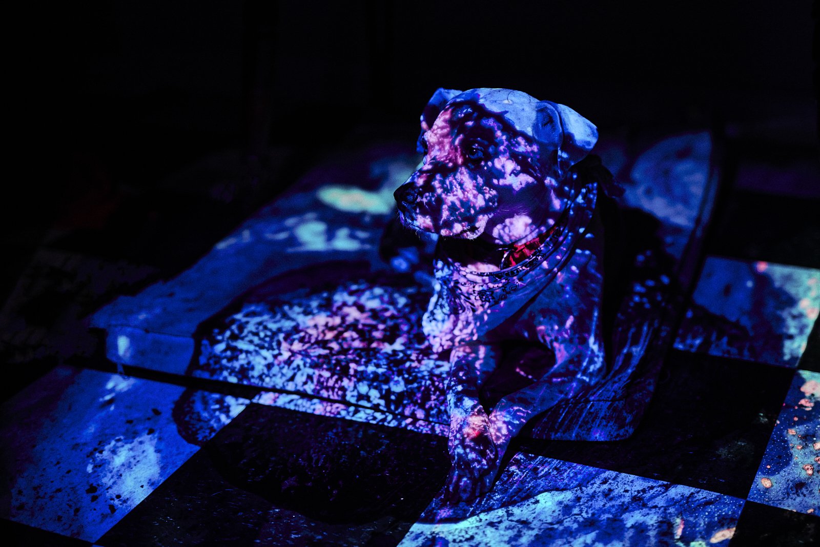 object_0039.JPG