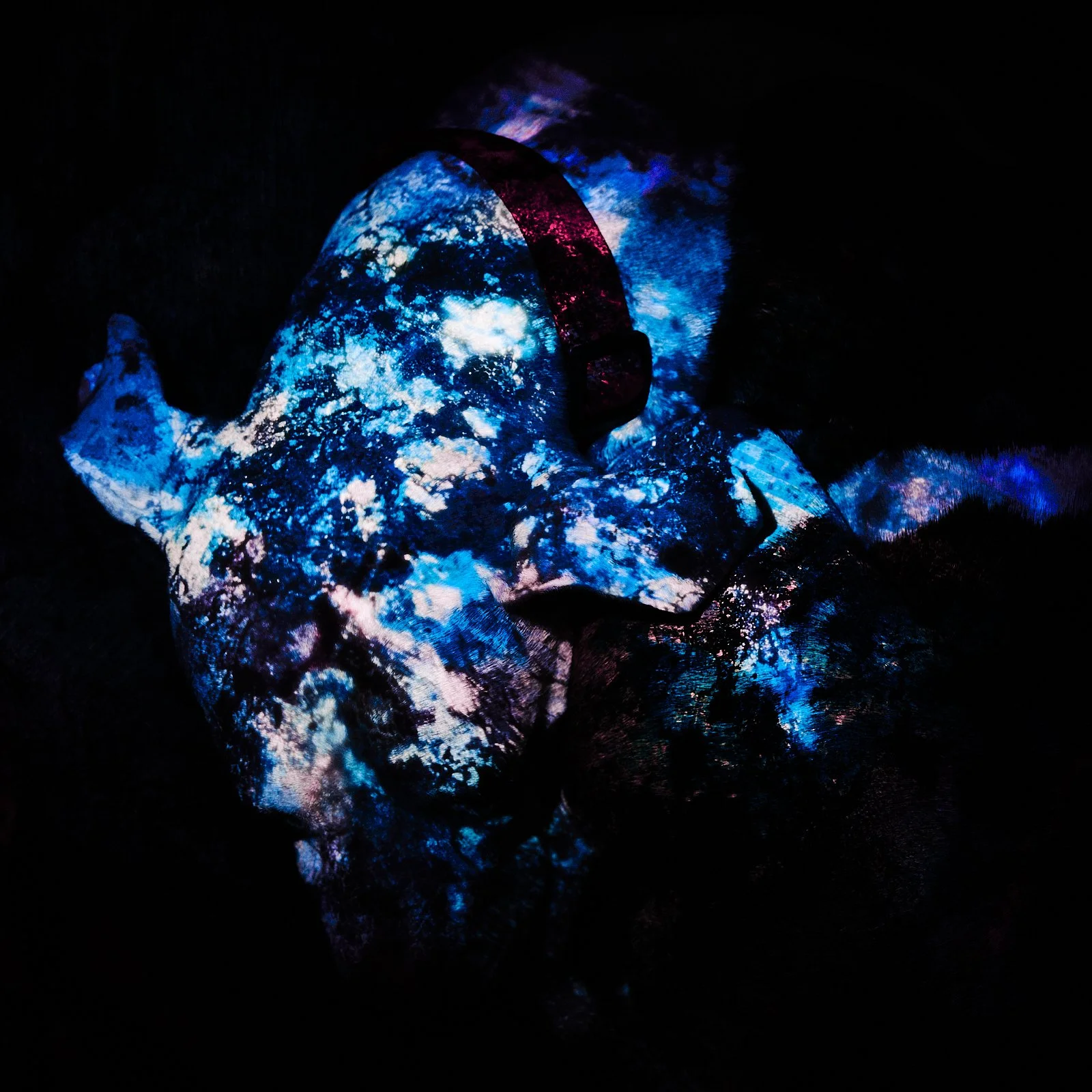 void_0021.JPG