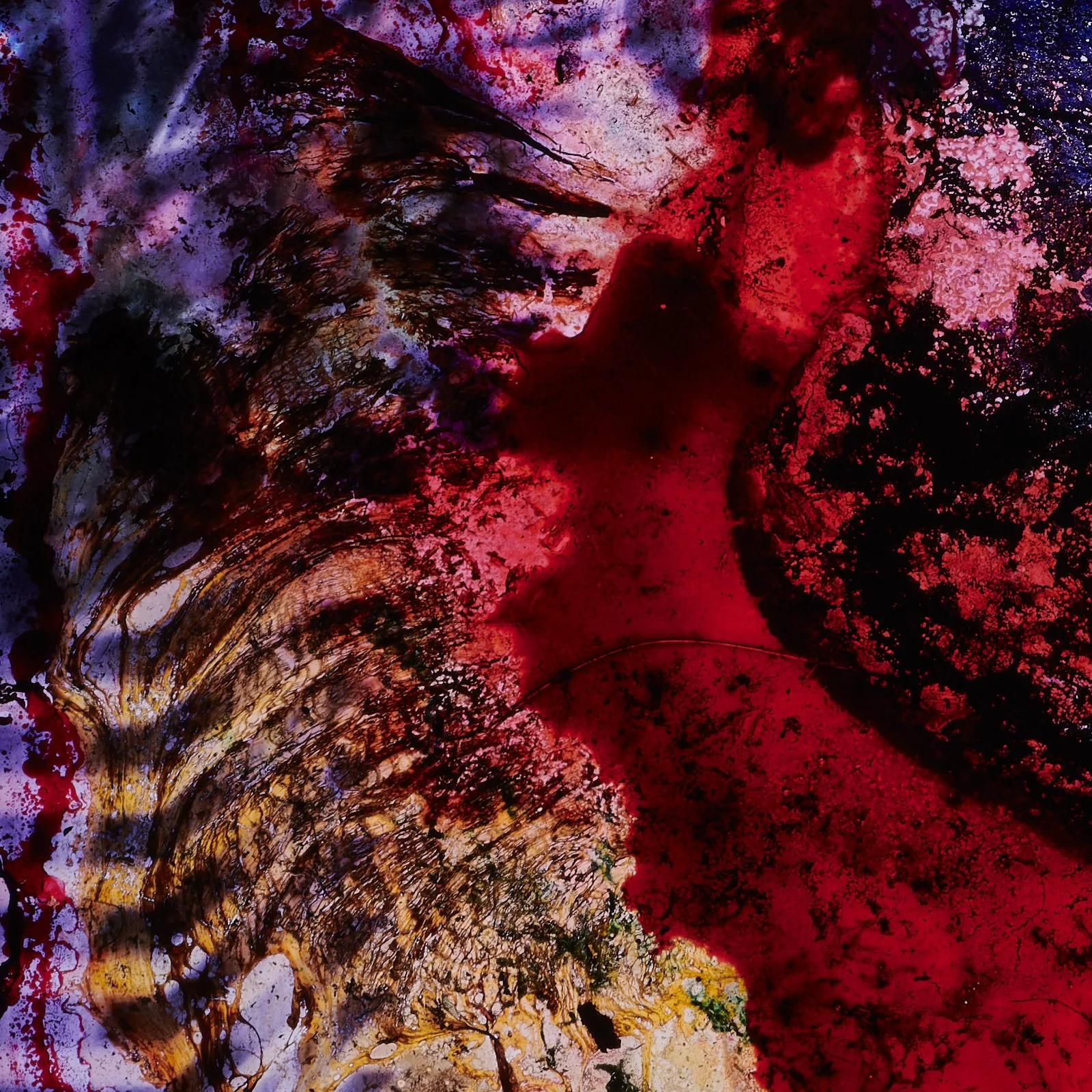 guts_0011.JPG