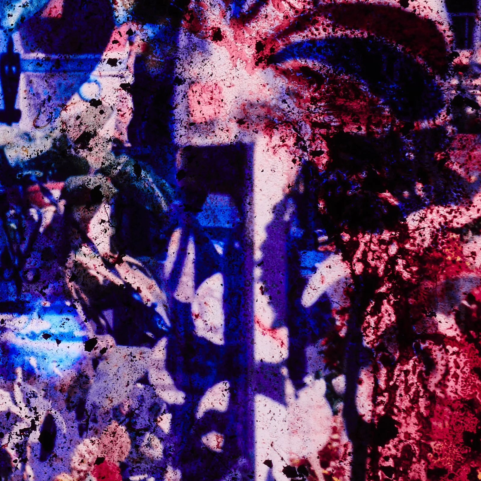 guts_0065.JPG