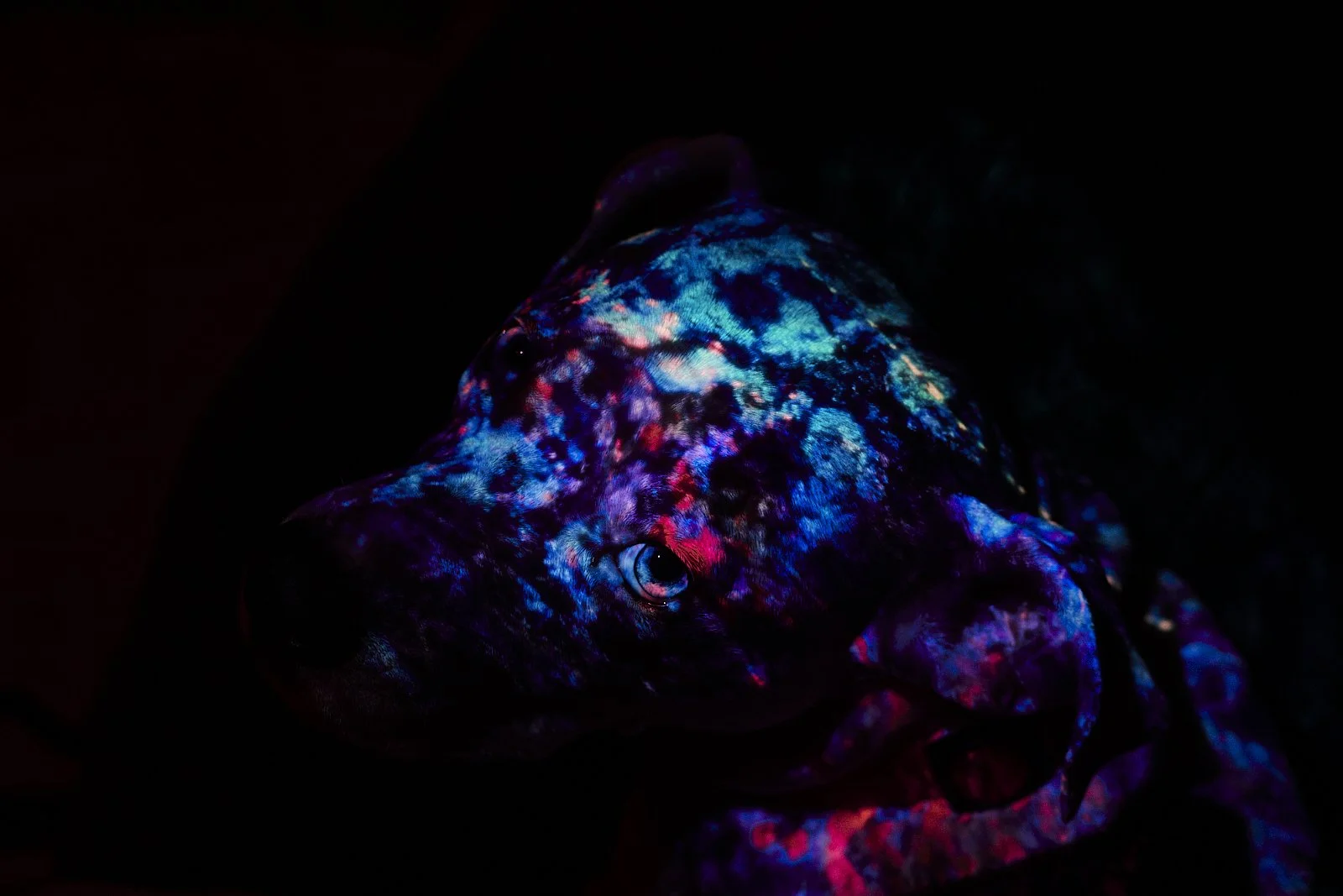 object_0008.JPG