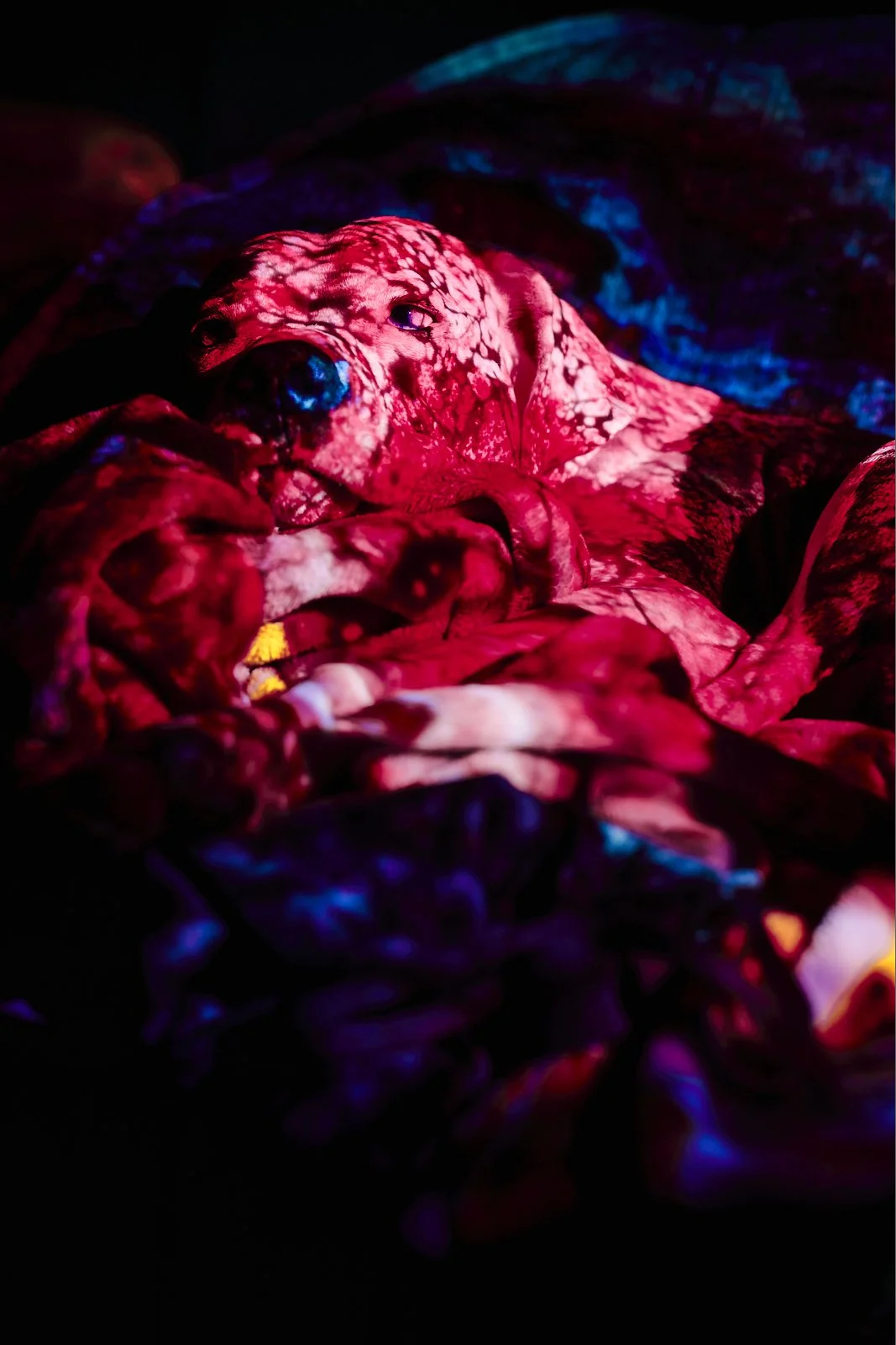 object_0044.JPG