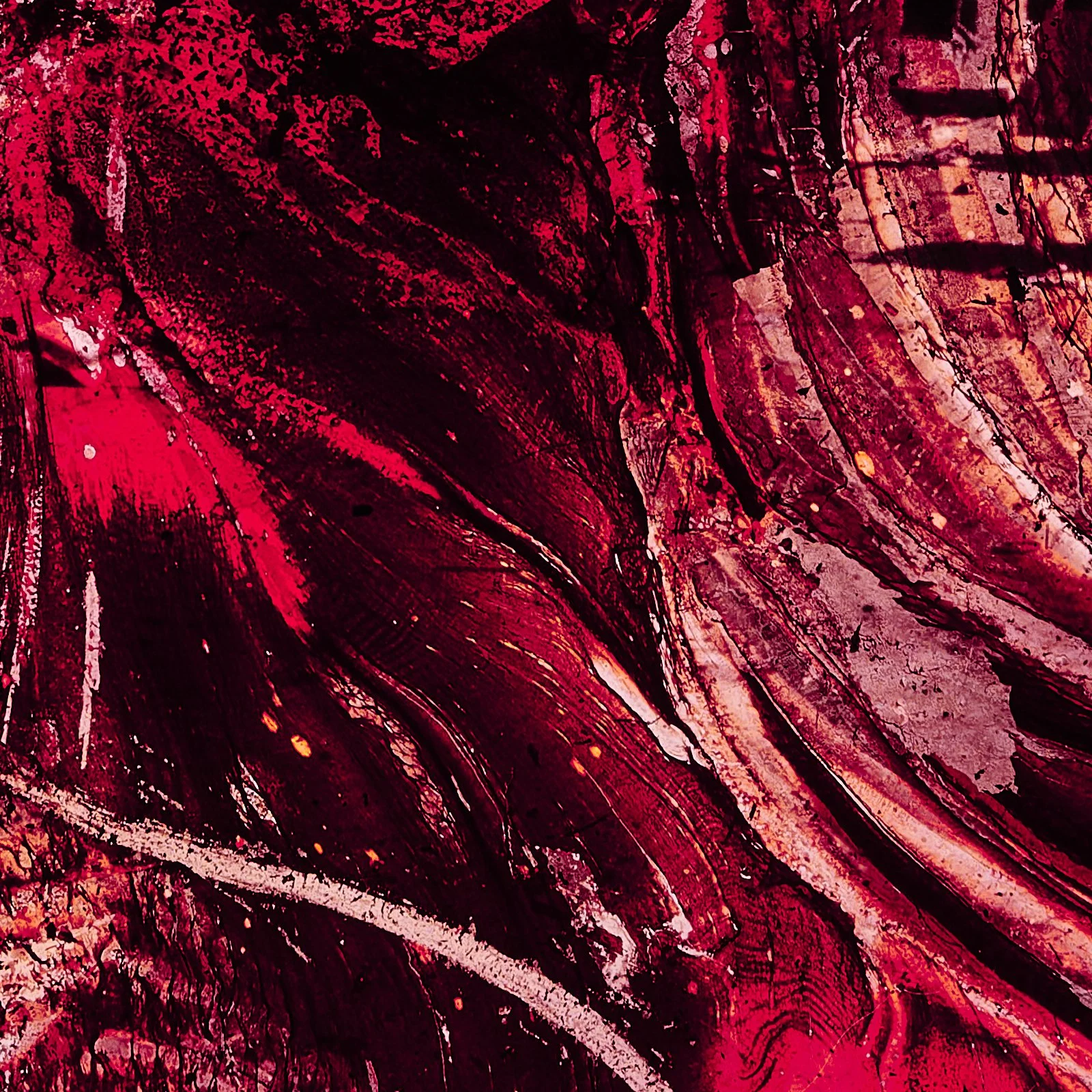 guts_0098.JPG
