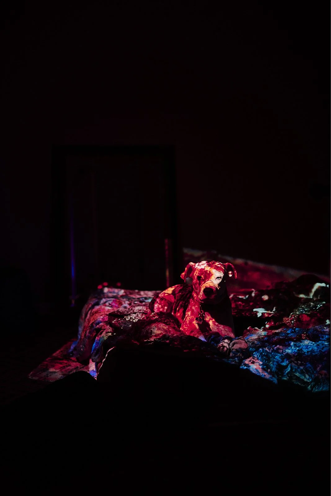 object_0064.JPG