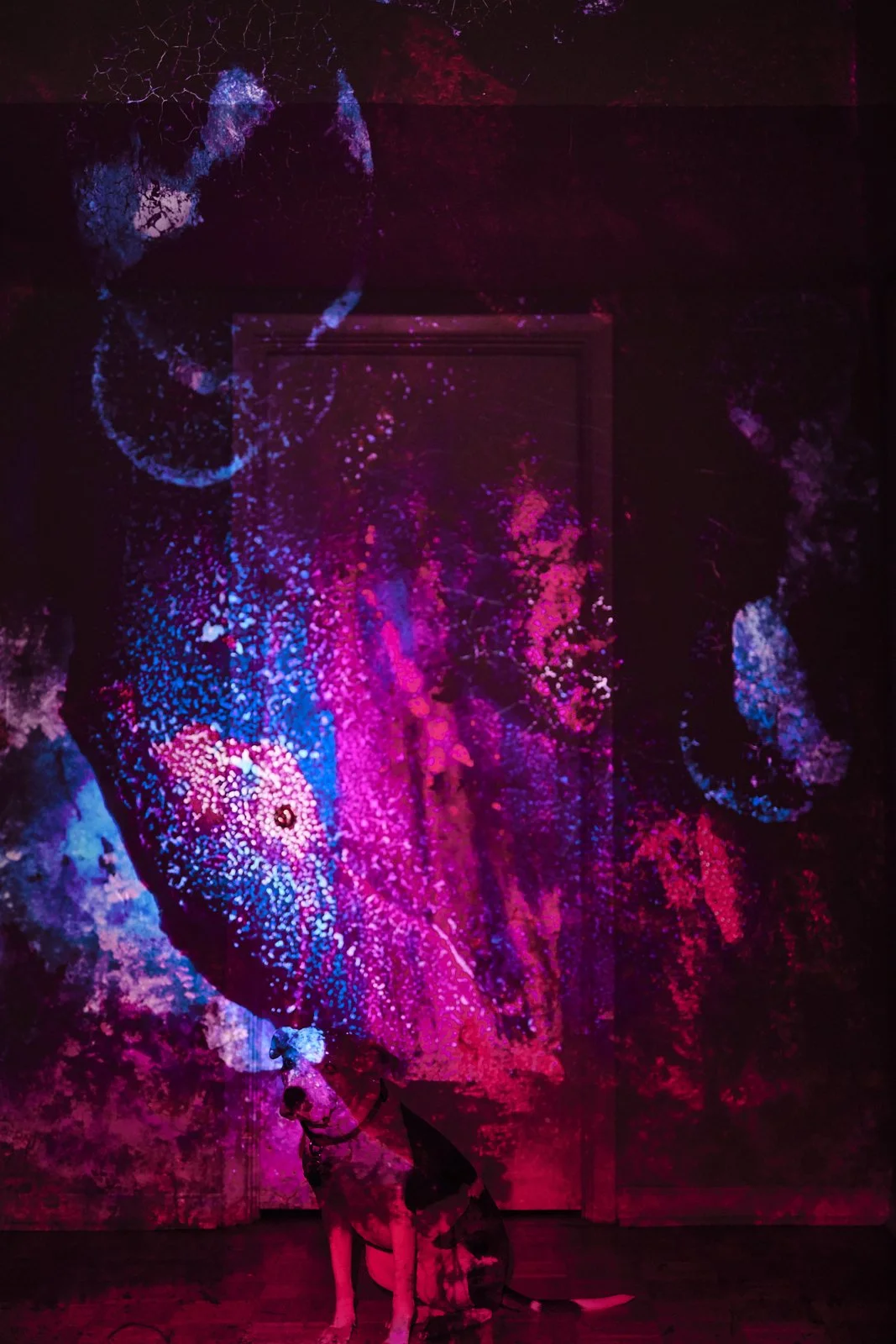 object_0003.JPG