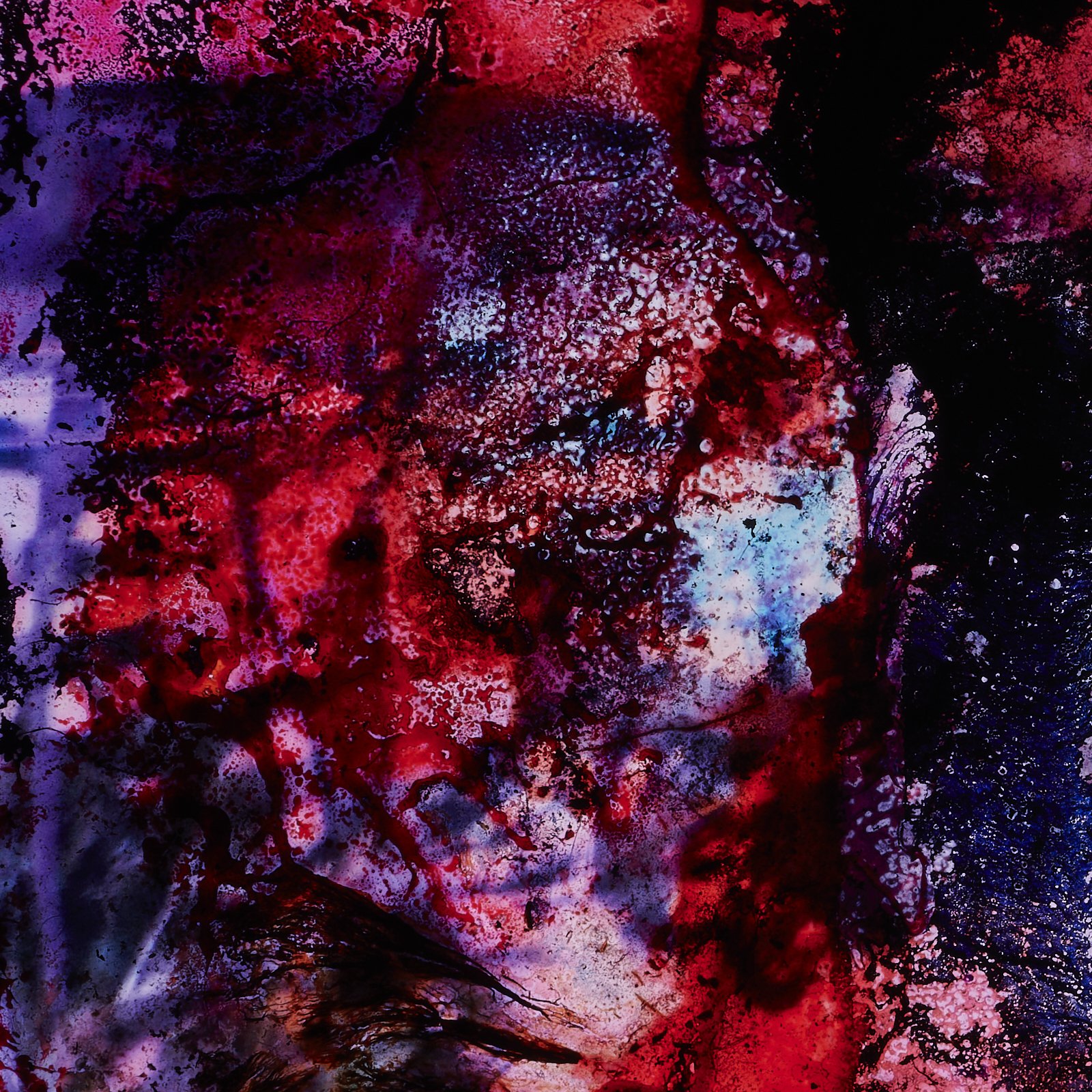 guts_0016.JPG