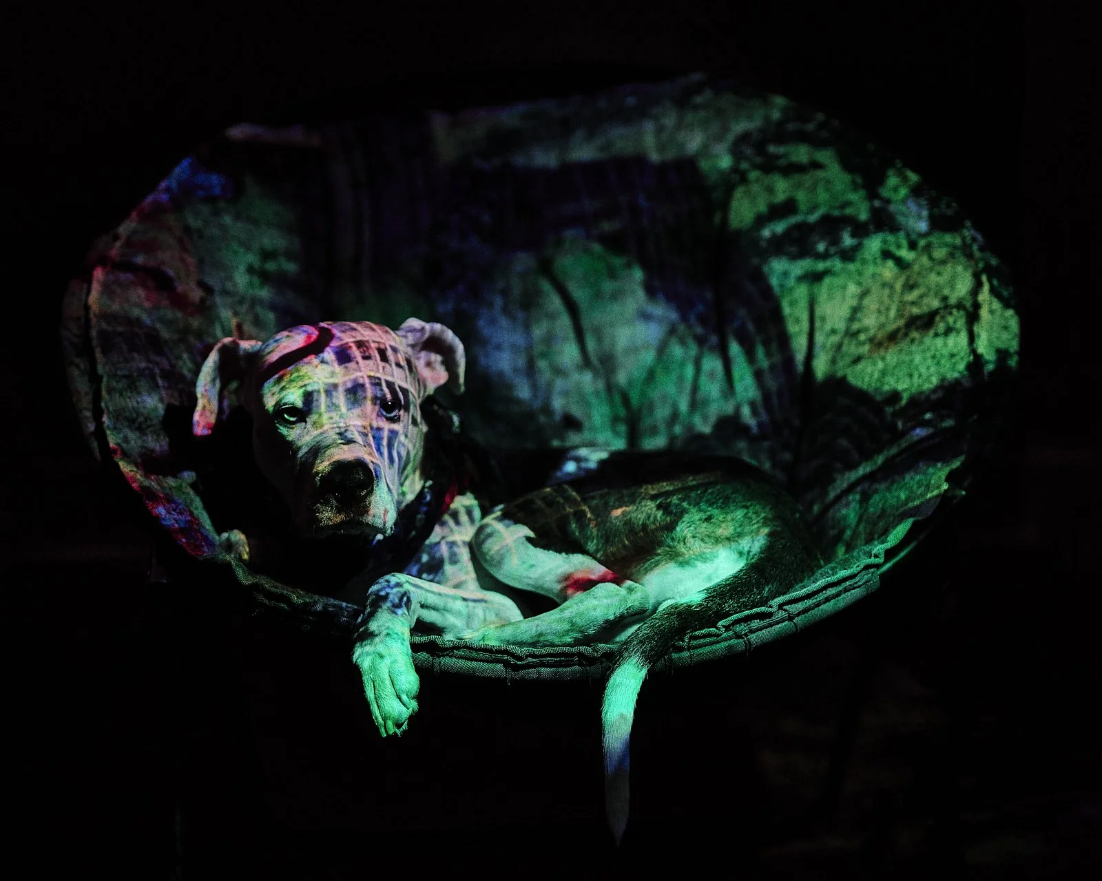 _DSC0258 1.jpg