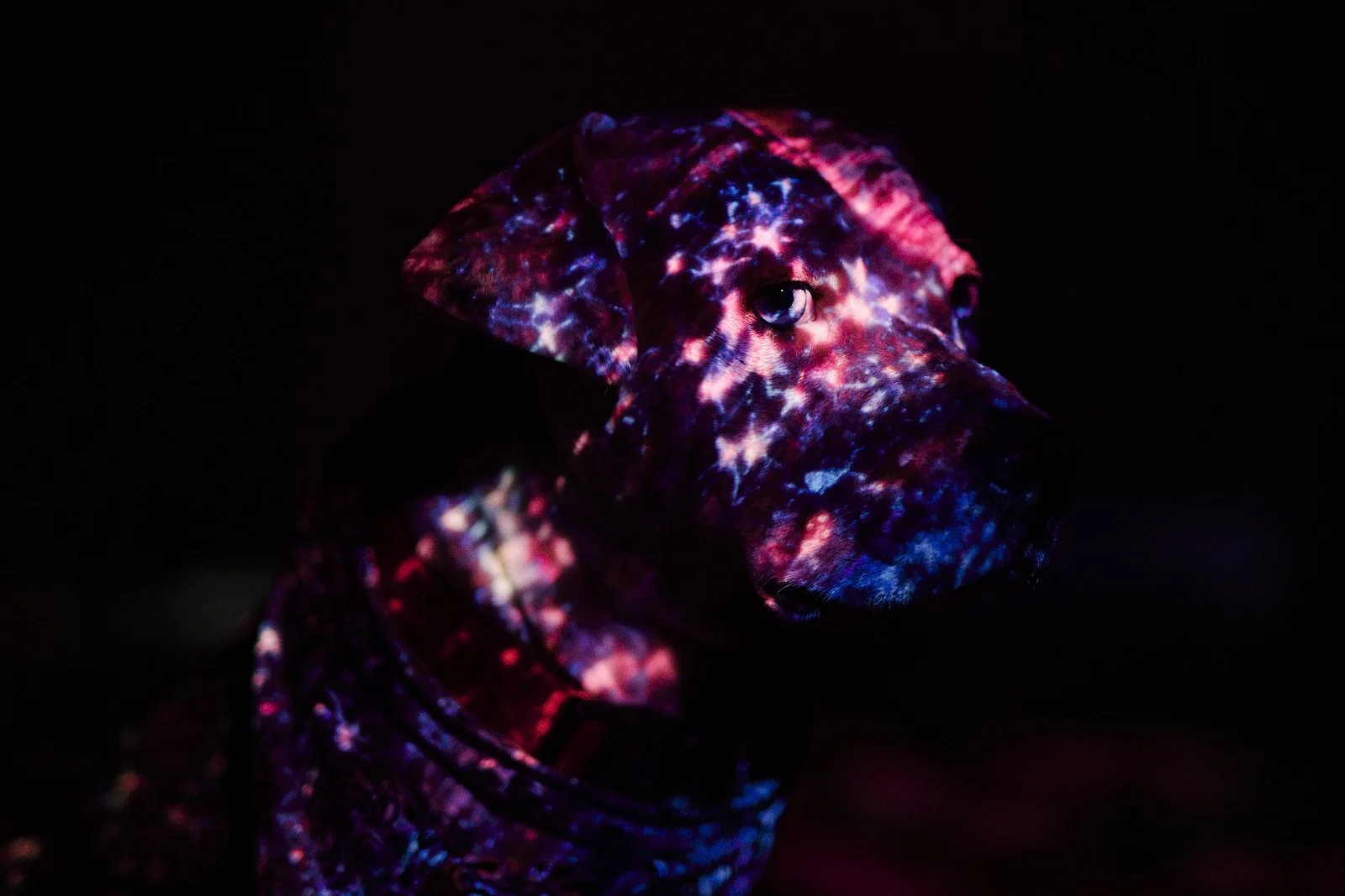 object_0104.JPG