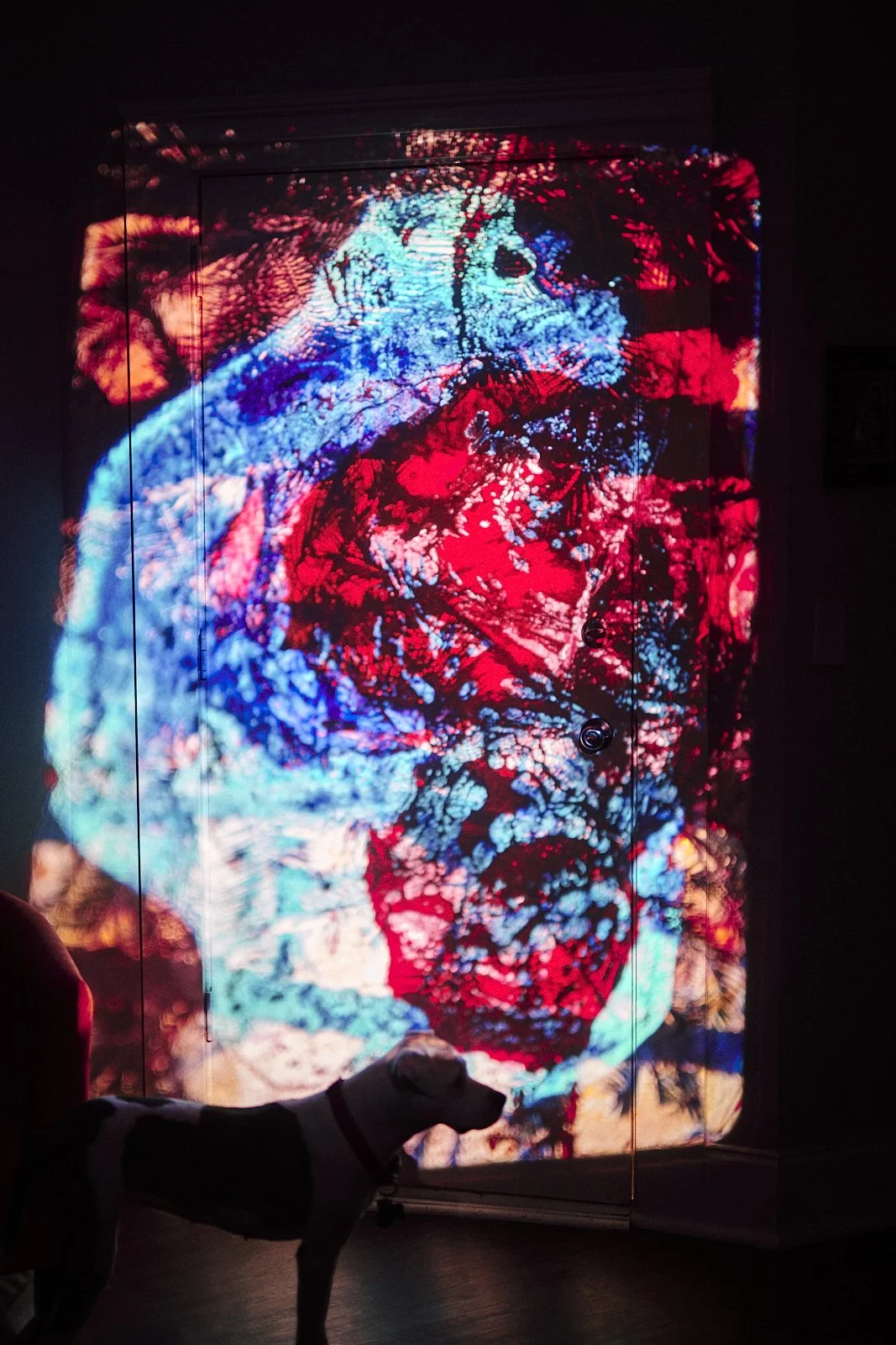 object_0051.JPG