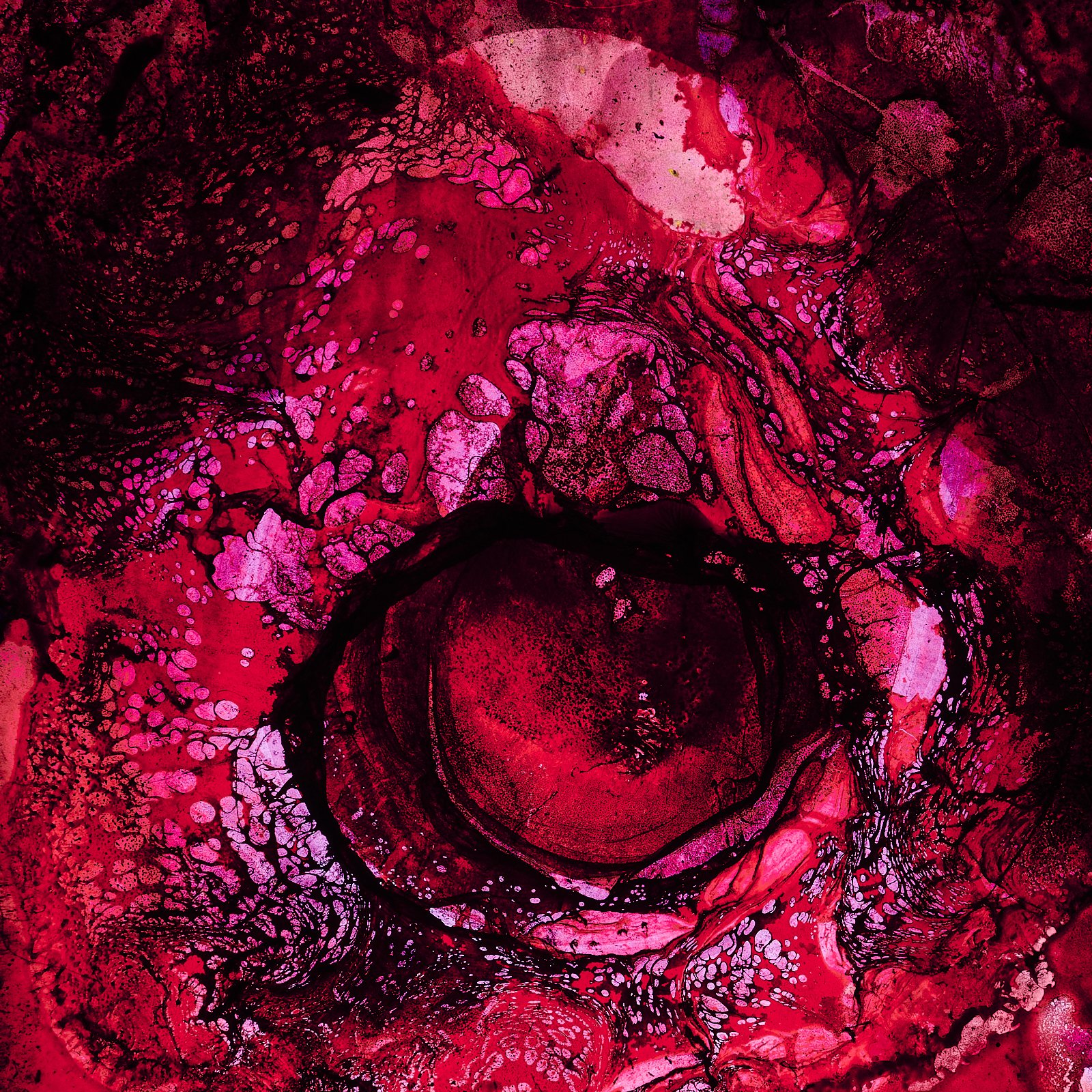guts_0094.JPG