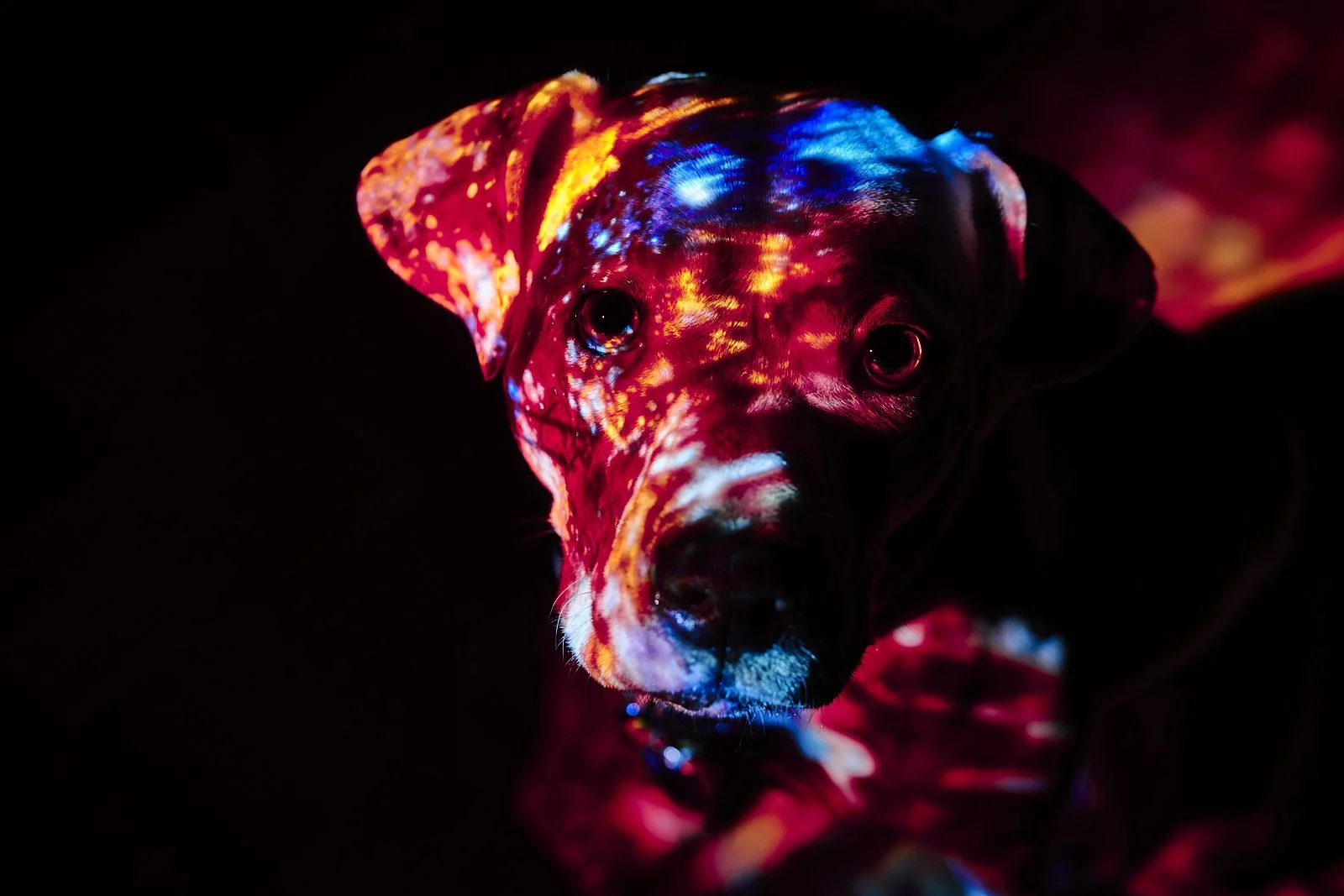 object_0094.JPG