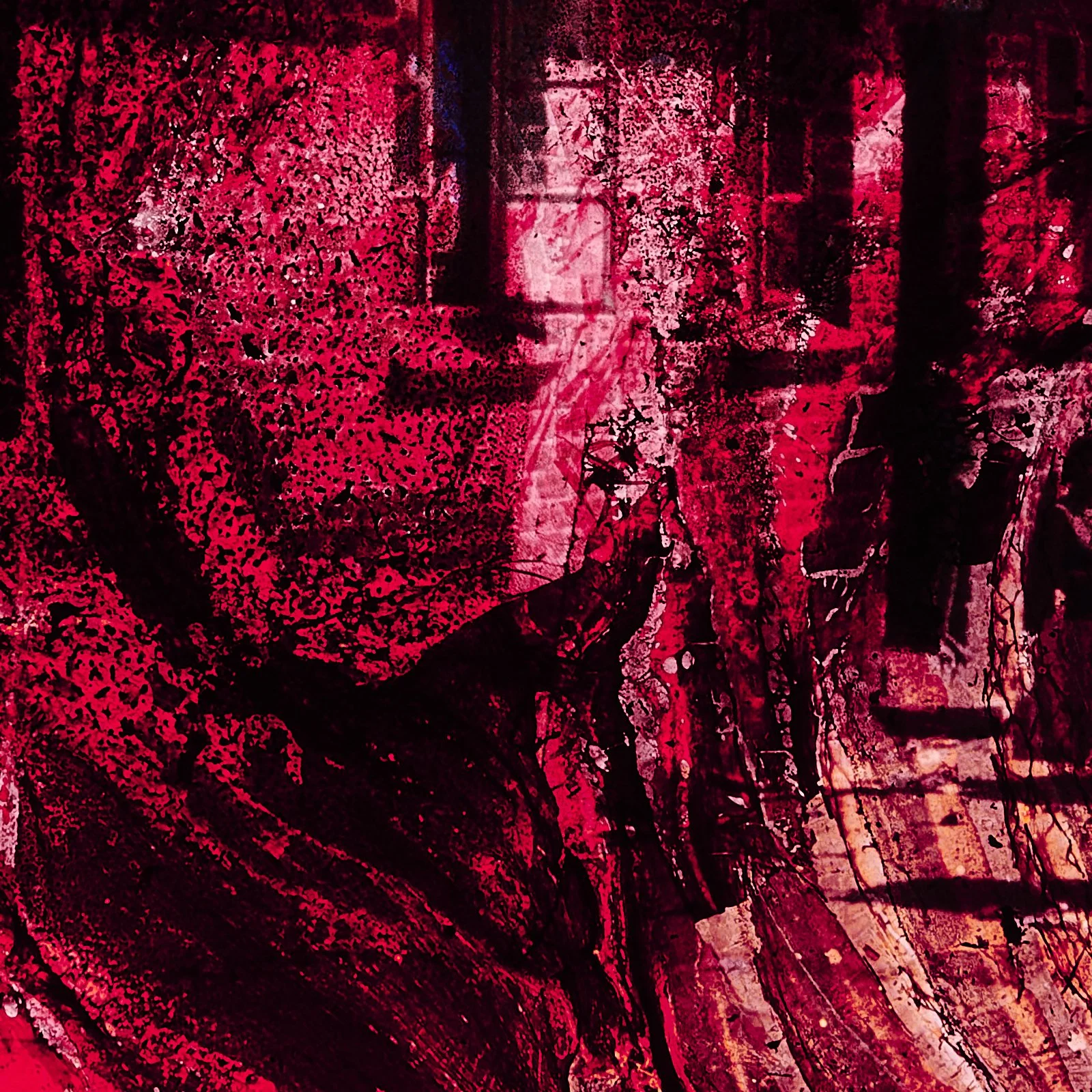 guts_0080.JPG