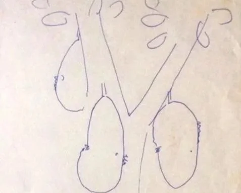 Coleção Milagres que vivi 6 — A Jaca