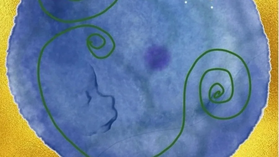 Caixa de fazer gente