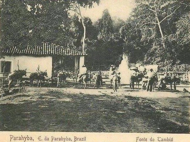 Fonte do Tambiá