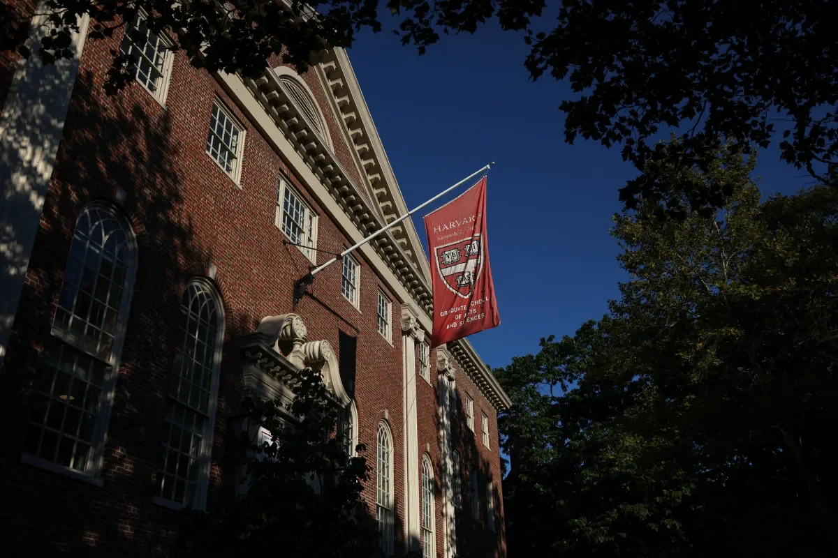 Harvard olha para Lisboa