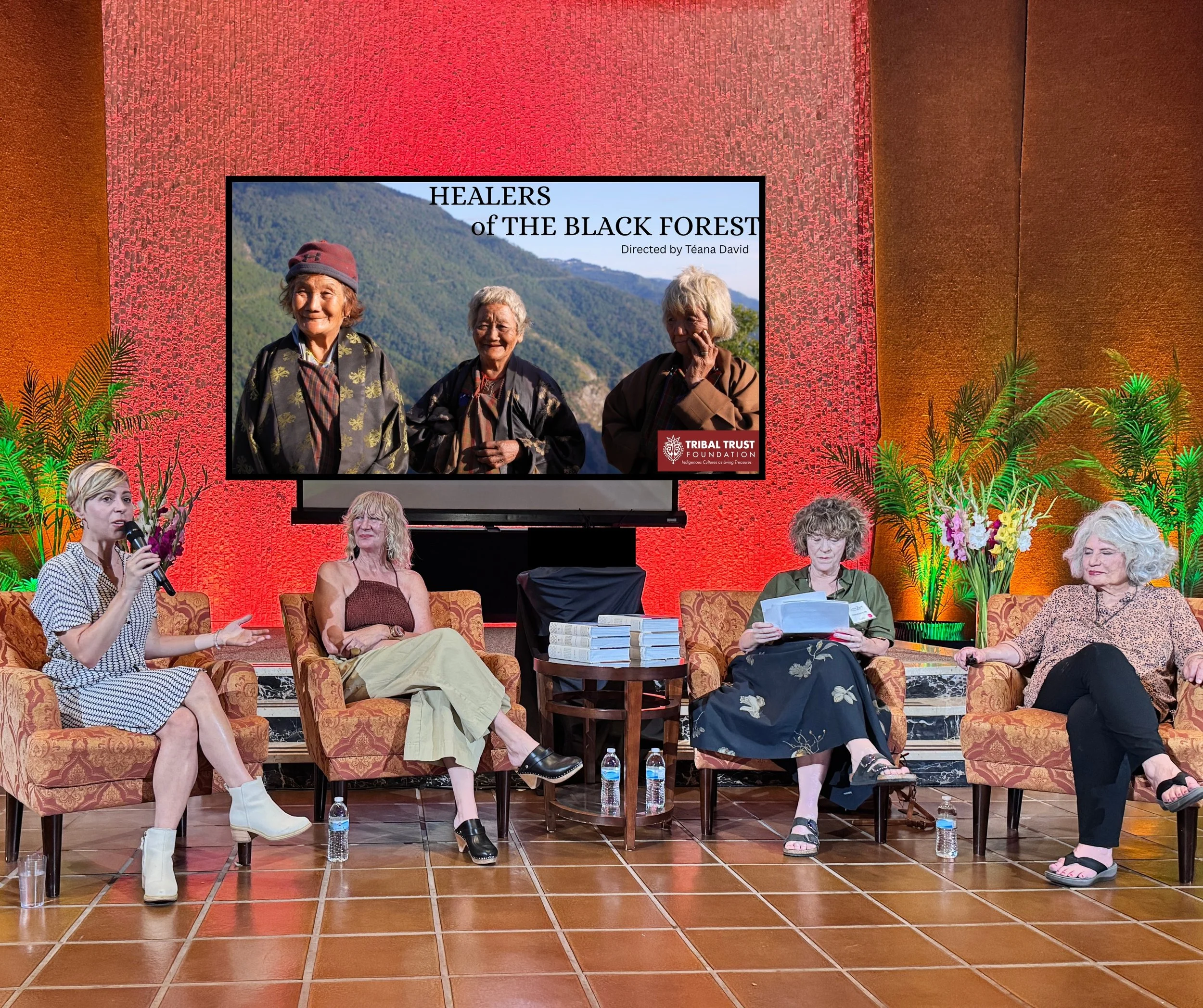 Healers panel.jpg