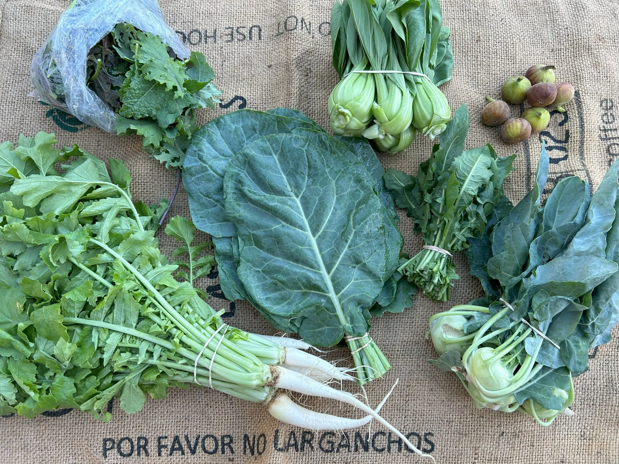 fall+24+csa+week+6.jpg