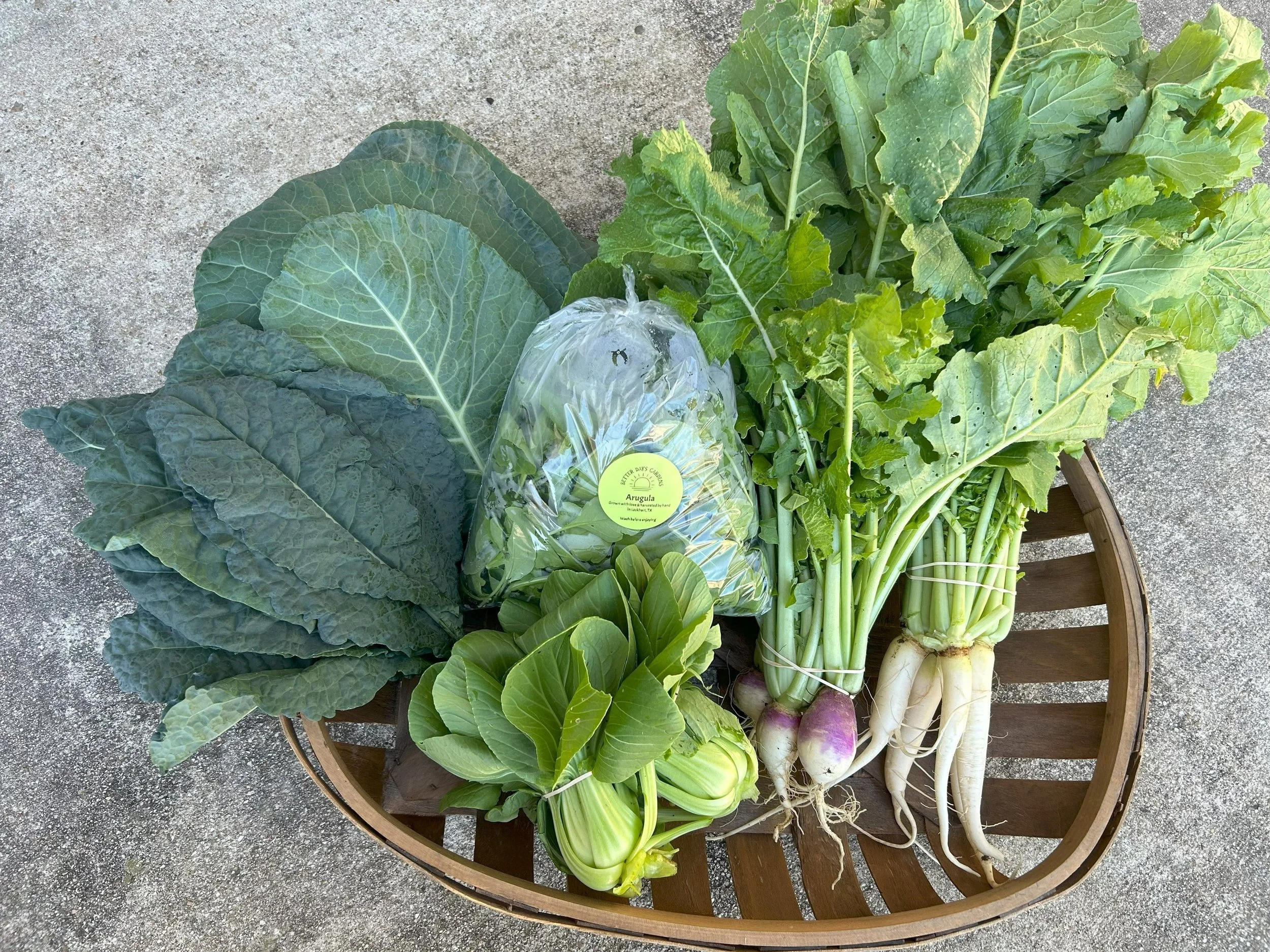fall+24+csa+week+7.jpg