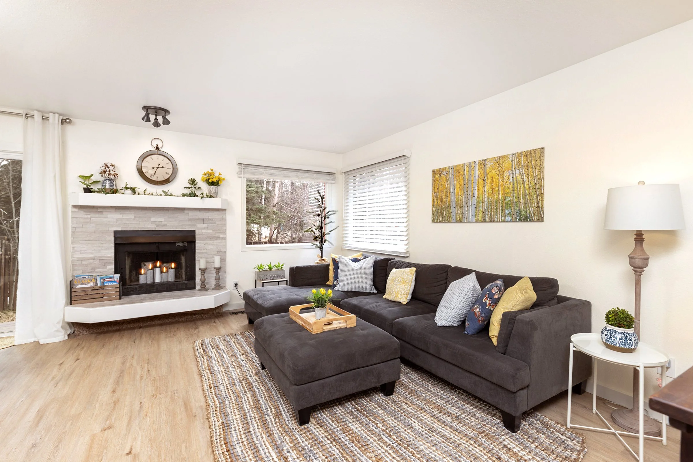 03-Living Room-20220425-5958c.jpg