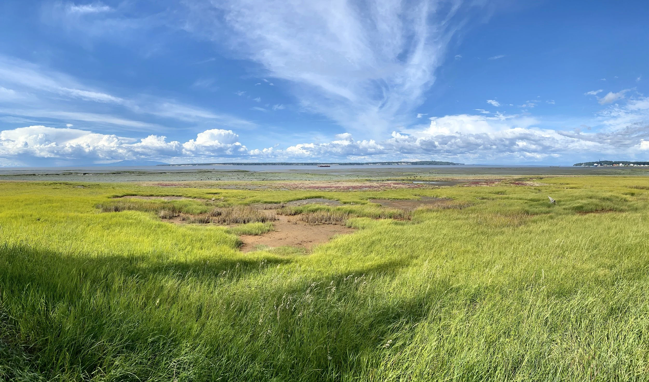 turnagain.jpg