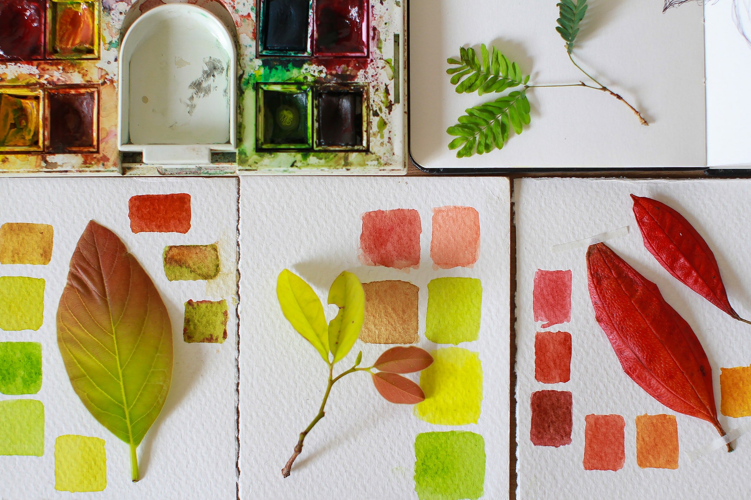 π¨ Herbal Support for Activating Creativity with Sesalli Castillo