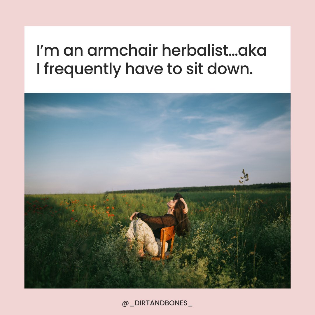 🌿 My Armchair Herbalist Journey 🪑📚⁠
⁠
When I first heard the term &quot;armchair herbalist,&quot; it was said with a hint of disdain. The person was referencing someone who primarily learned about plants from behind a desk, from an armchair if you