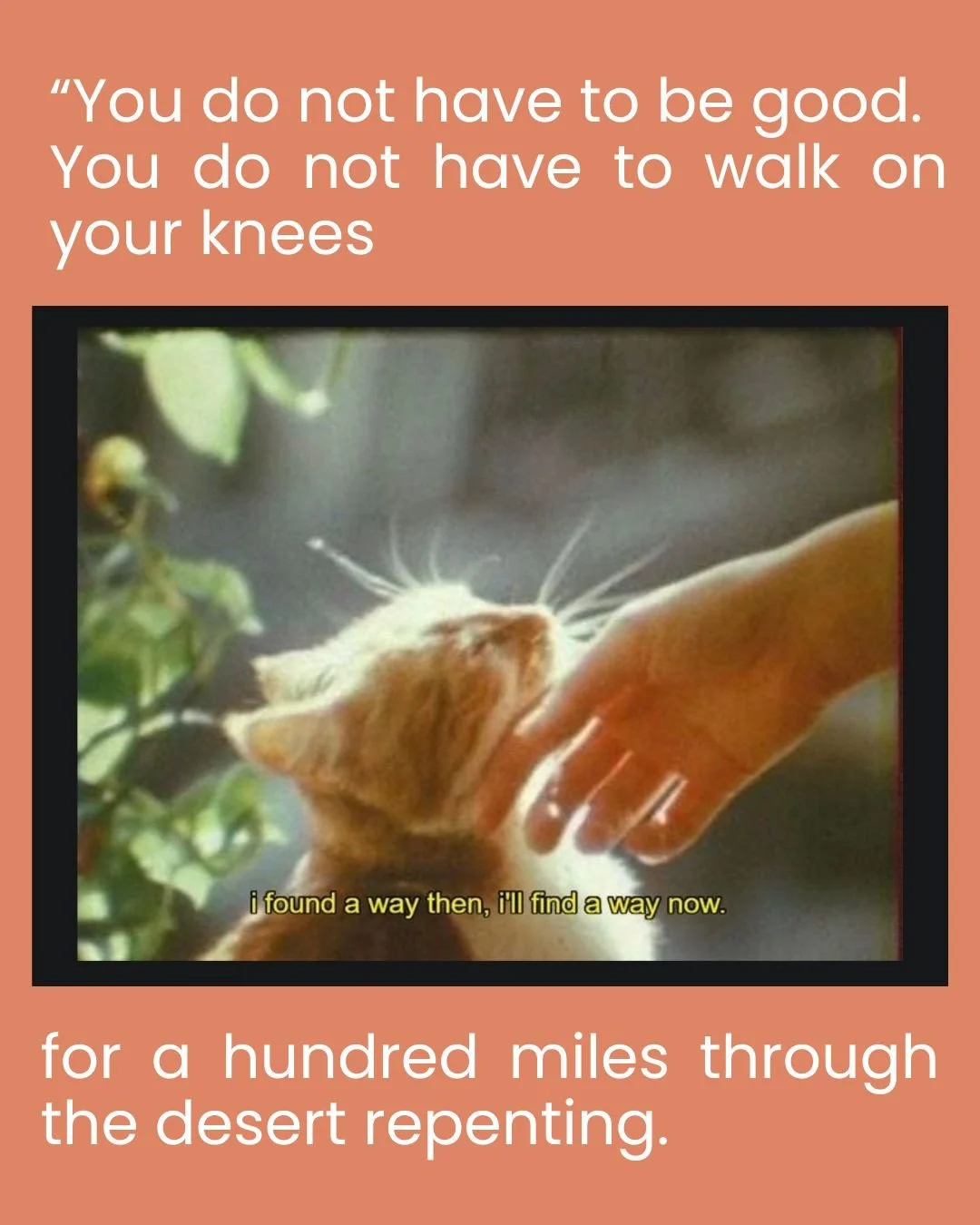 &ldquo;You do not have to be good.⁠
You do not have to walk on your knees⁠
for a hundred miles through the desert repenting.⁠
You only have to let the soft animal of your body⁠
love what it loves.&rdquo;⁠
~  Mary Oliver⁠
⁠
This might be the most oft-