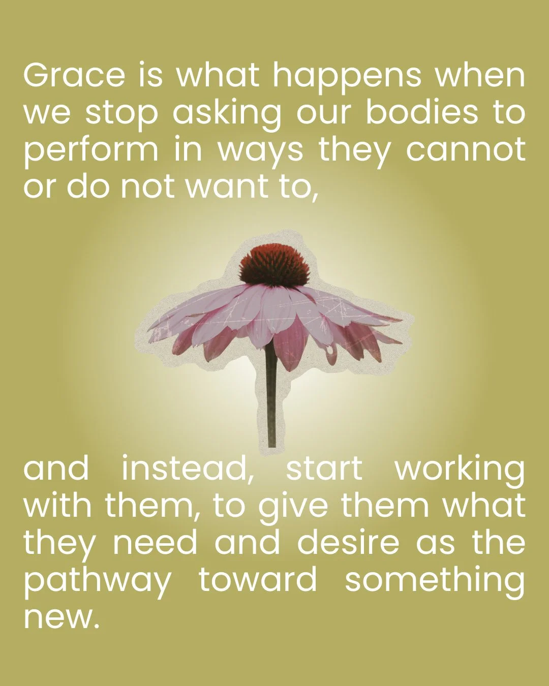 Grace is what happens when we stop asking our bodies to perform in ways they cannot or do not want to,⁠
⁠
and instead, start working with them, to give them what they need and desire as the pathway toward something new.⁠
⁠
Grace isn't letting go of e