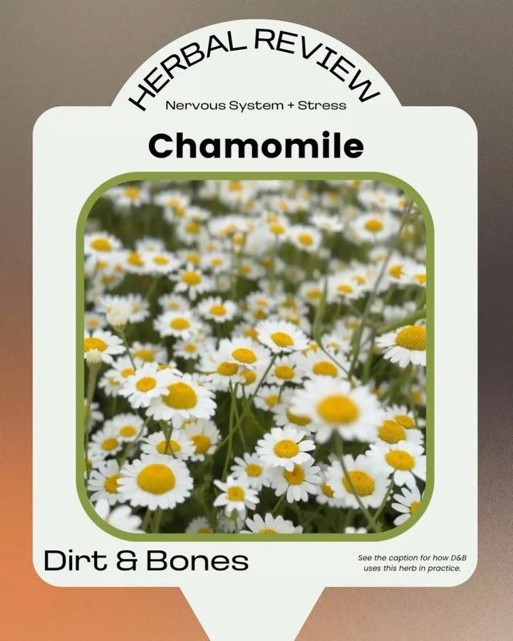 Welcome to Herbal Review: aka, what&rsquo;s in Raman&rsquo;s herbal toolkit and why does she love it? 🌿

Today&rsquo;s lineup:

CHAMOMILE | Nervous System + Stress

Gentle, familiar, and one of Raman&rsquo;s favorites when the nervous system could u