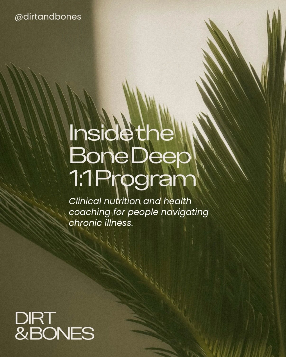 You don&rsquo;t need another 30-page wellness plan asking you to change your entire life by Monday.

We feel pretty strongly about that one.

Bone Deep is our four- to six-month 1:1 program combining functional nutrition + health coaching for people 