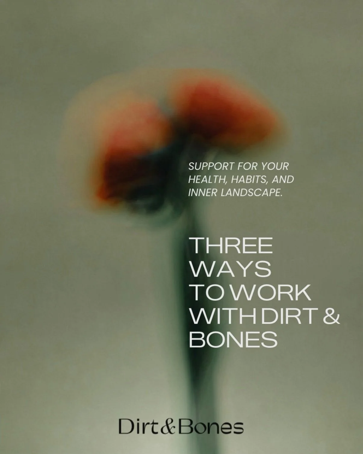 Plot twist: not everyone needs the same kind of support.

Maybe you&rsquo;re navigating chronic symptoms and want someone to help you make sense of the bigger clinical picture.

Maybe you already have plenty of information&mdash;you just need help tu