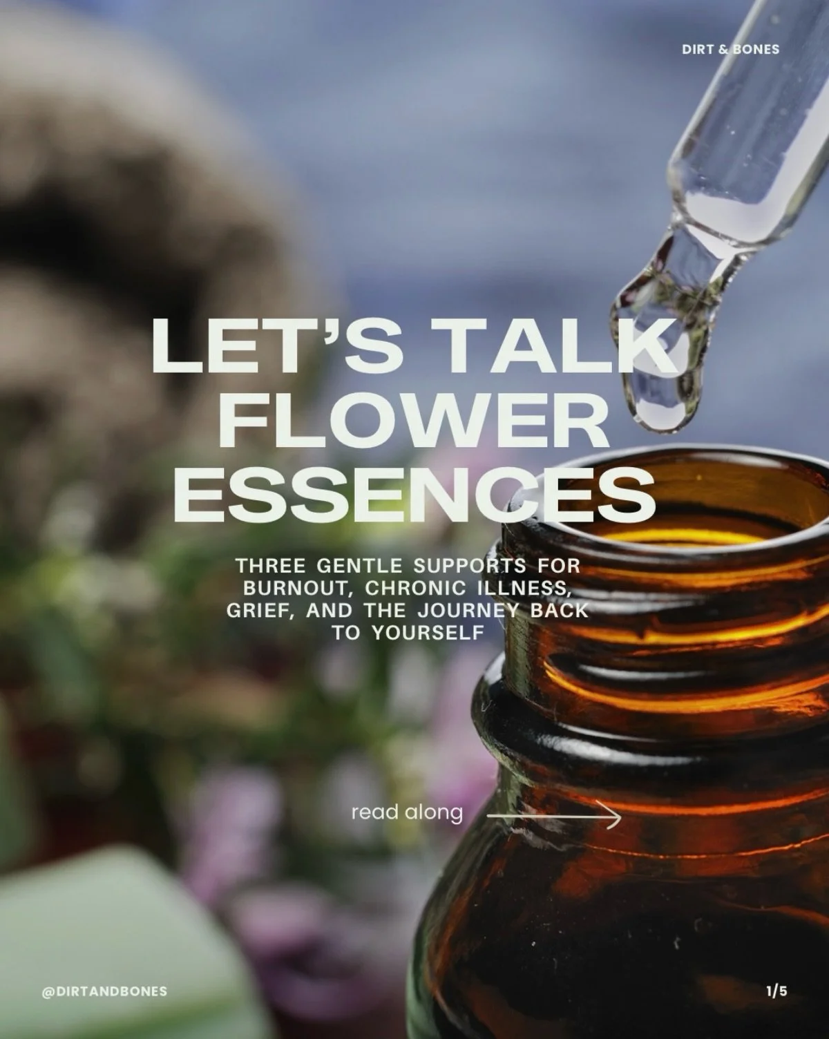 A few flower essences Andrea reaches for in practice🌱🍐

Oak, Self-Heal, and Bradford Pear each offer support for different seasons of burnout, chronic illness, grief, and emotional overwhelm.

What&rsquo;s your go-to flower essence?

#floweressence