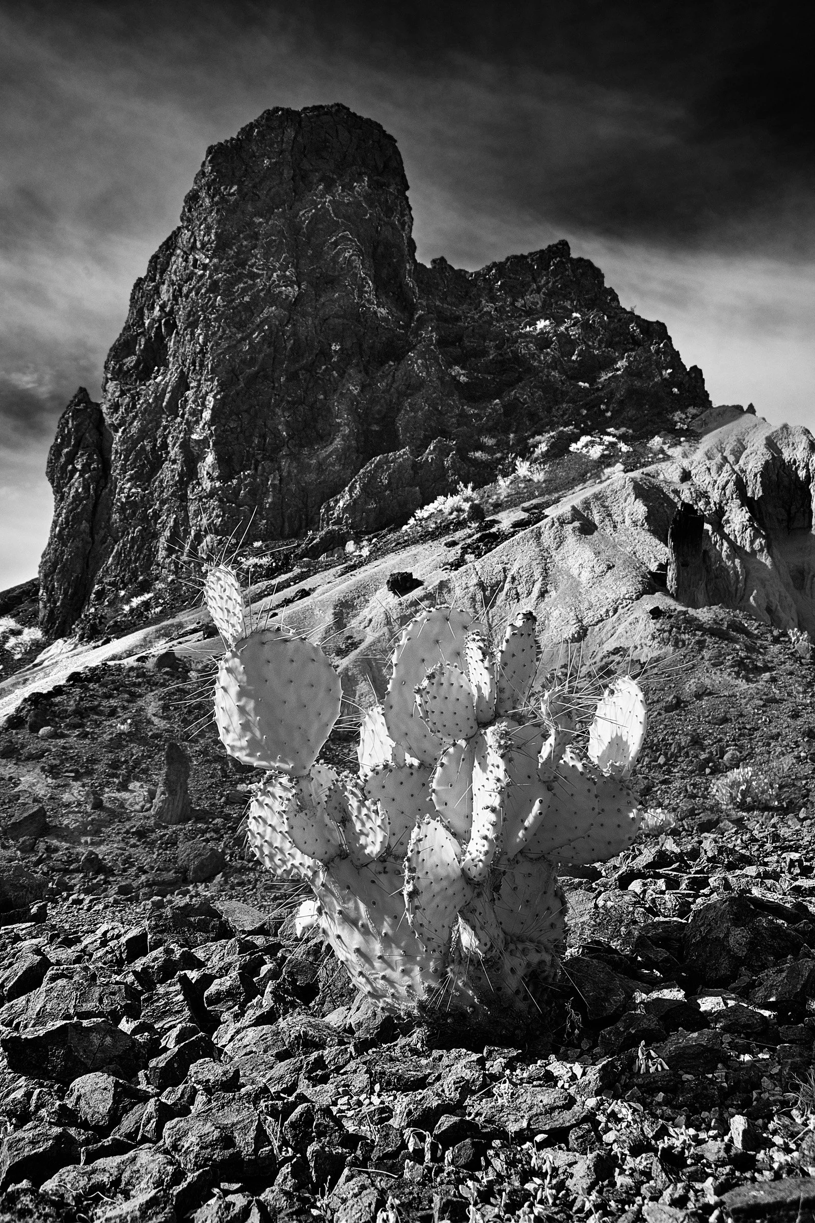 Black and white photo of a cactus in the foreground, with a rocky mountain and cloudy sky in the background.