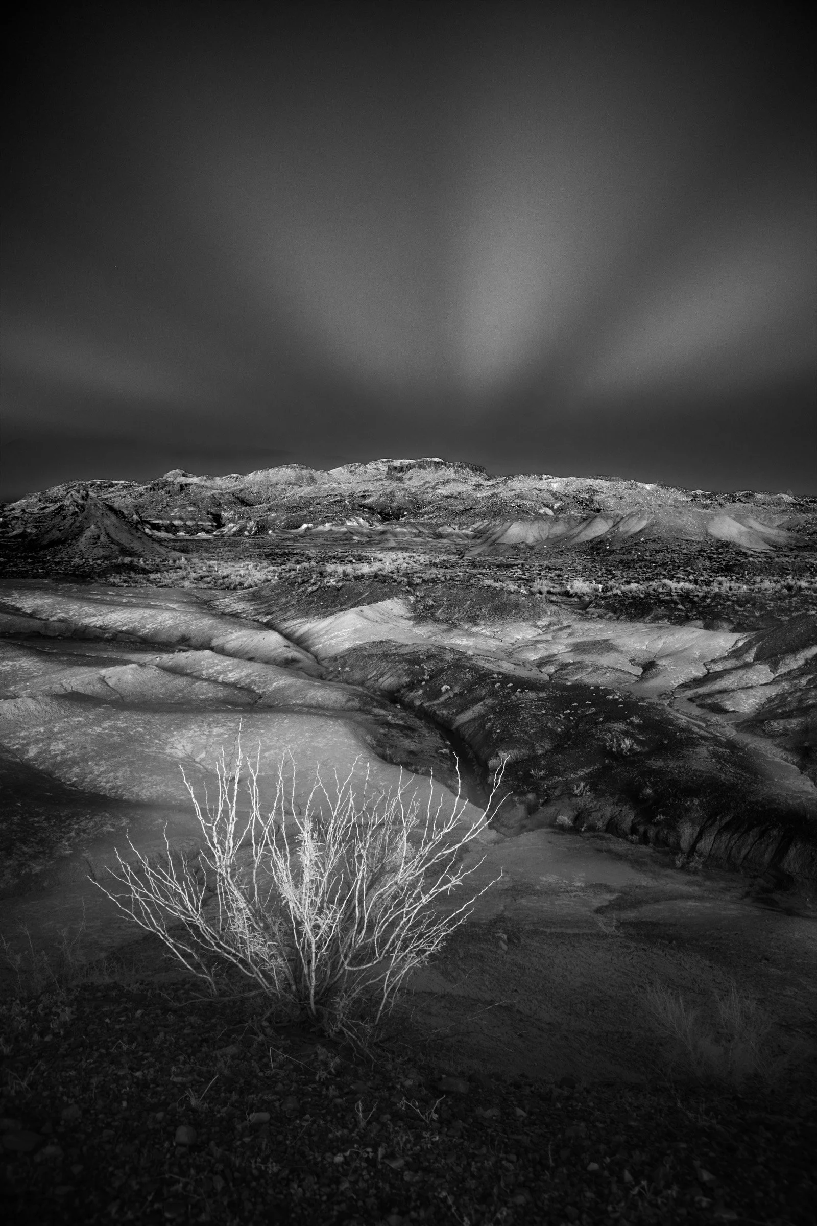 Scrub Bones & Anticrepuscular Rays - Scrub branches stand like pale bones in the foreground while anticrepuscular rays fan through high cloud, laying soft divisions across the folded basin at Big Bend.