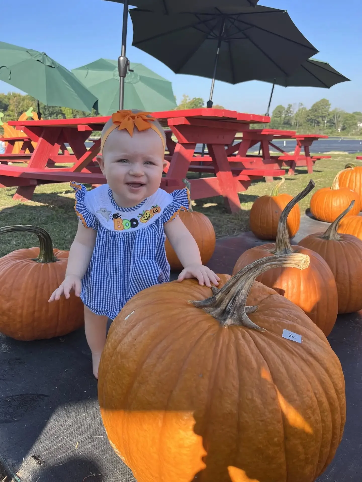 Moms with Littles had a BEAUTUFUL day together at the pumpkin patch this month! 

Save the date and join them next month on November 13!
