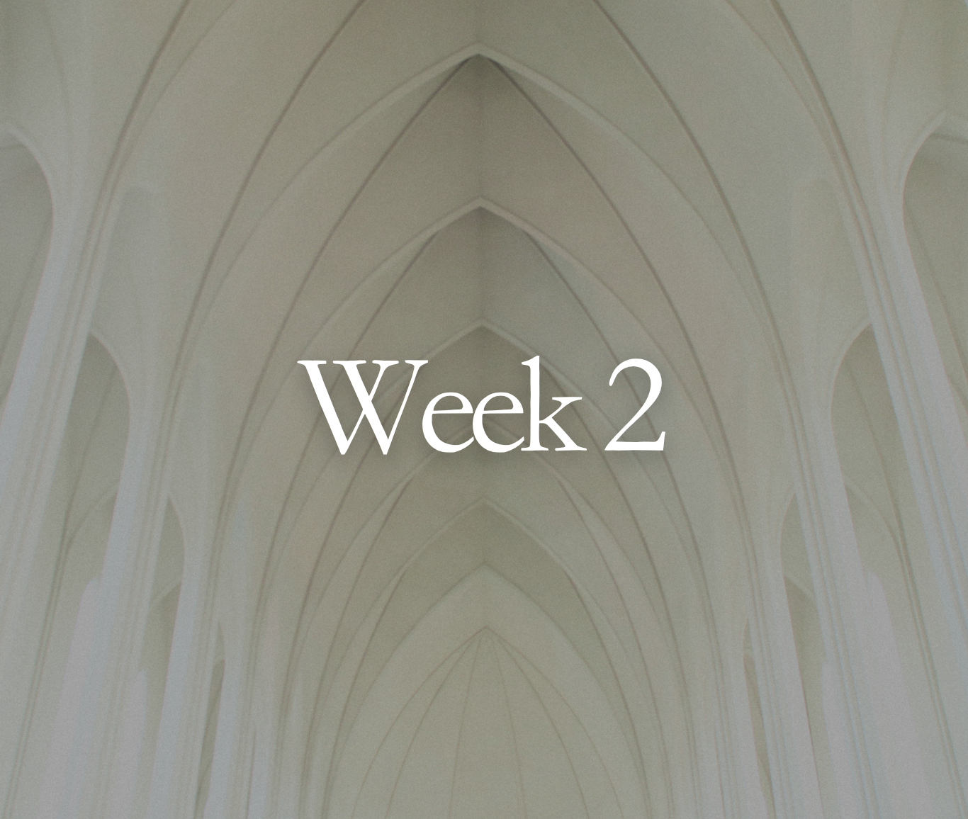 Week 2: 1 John 1:5-2:6