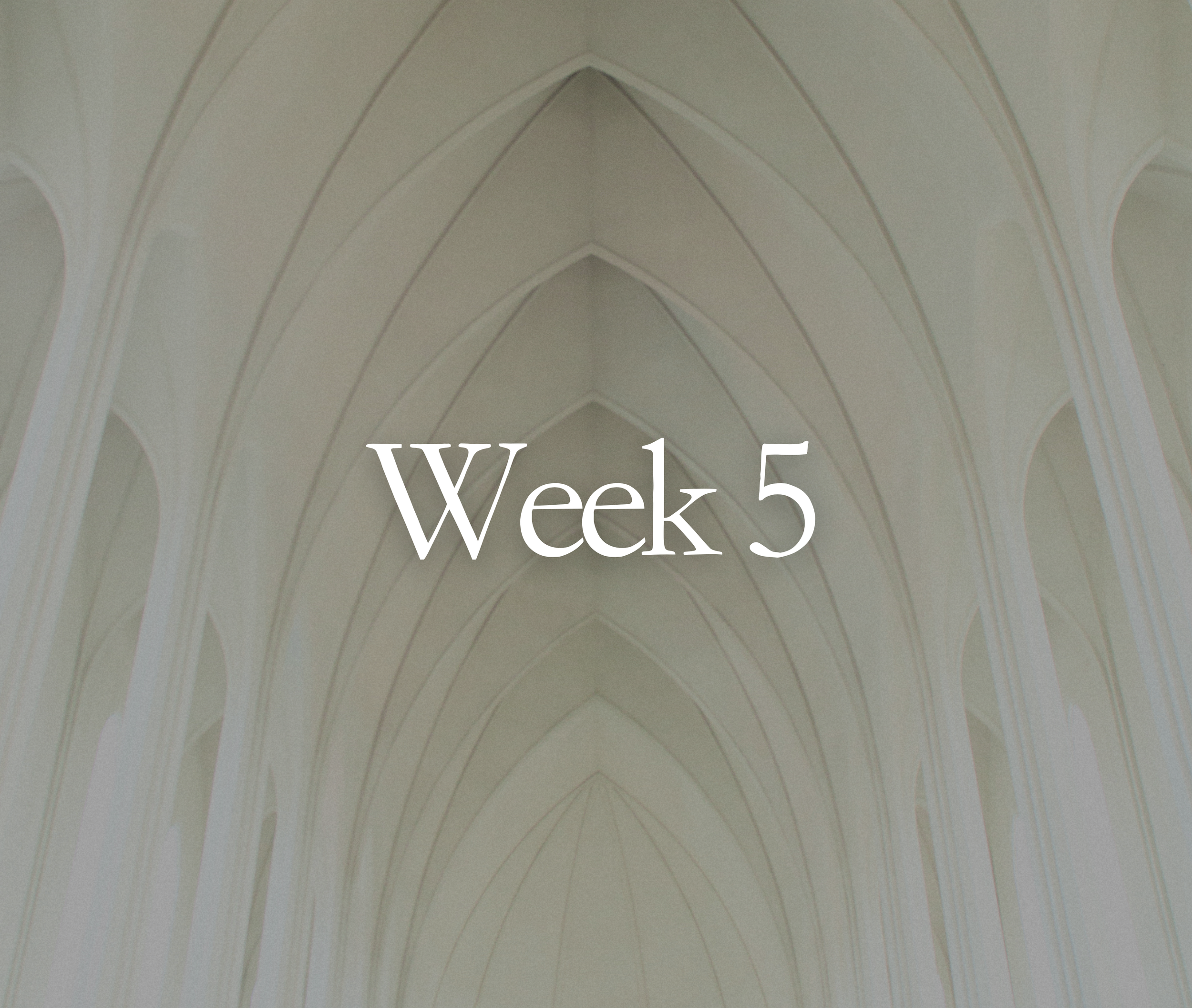 Week 5: 1 John 2:28-3:24