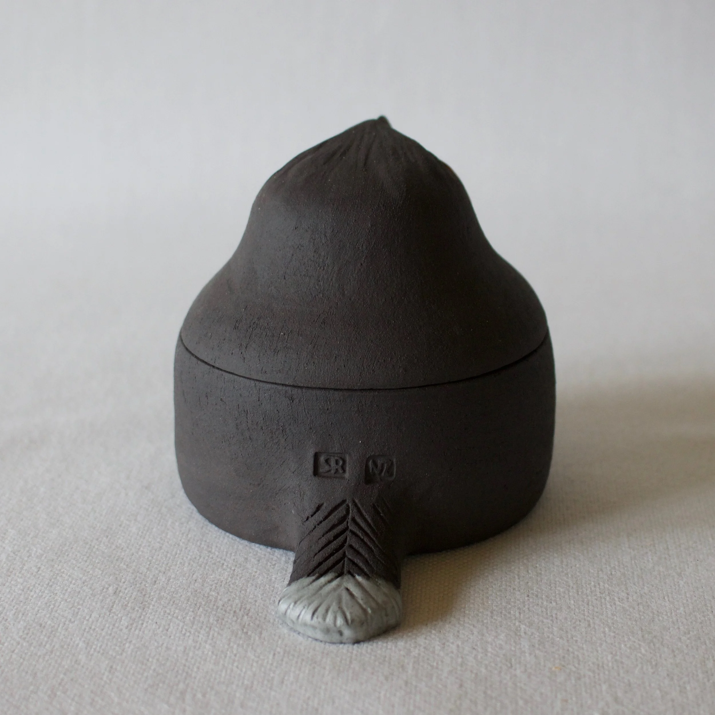 tail feather huia bird ceramic trinekt box.jpeg