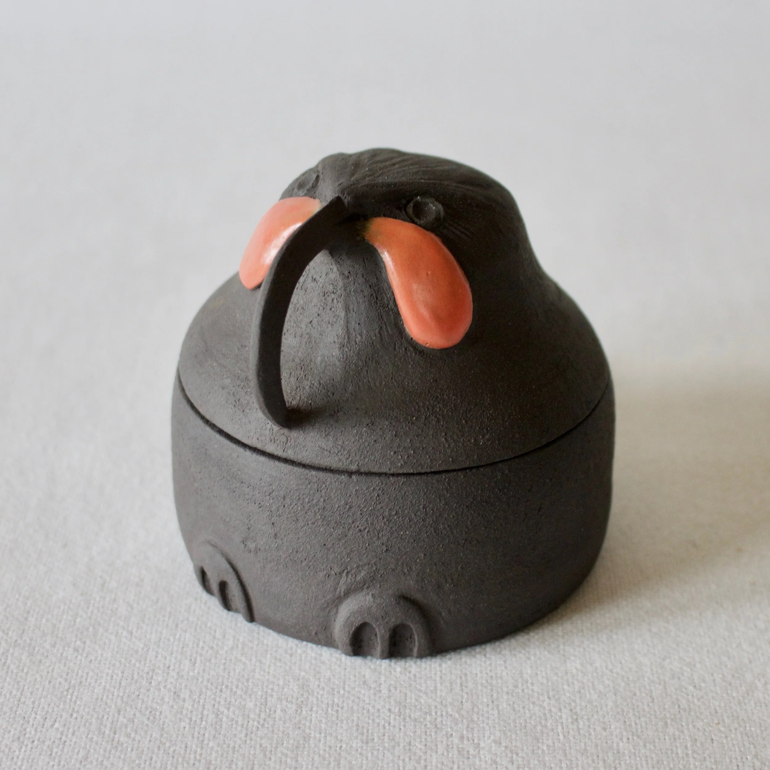 ceramic huia bird trinket box nz.jpeg