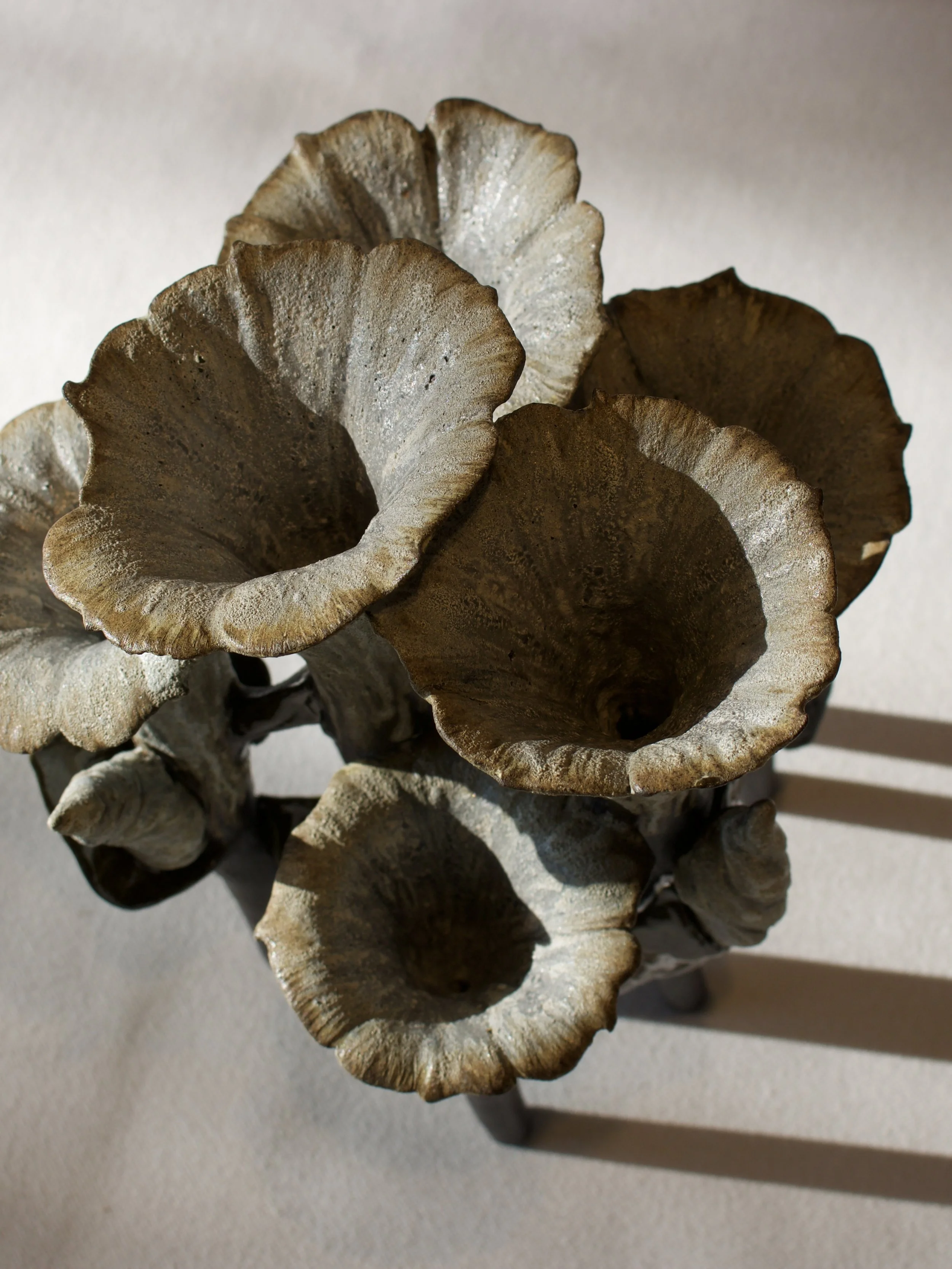 IMG_4500.jpeg